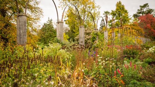 The Herbaceous Border in October at Dyffryn Gardens, a golden colour with a few red and purple blooms peeking through.